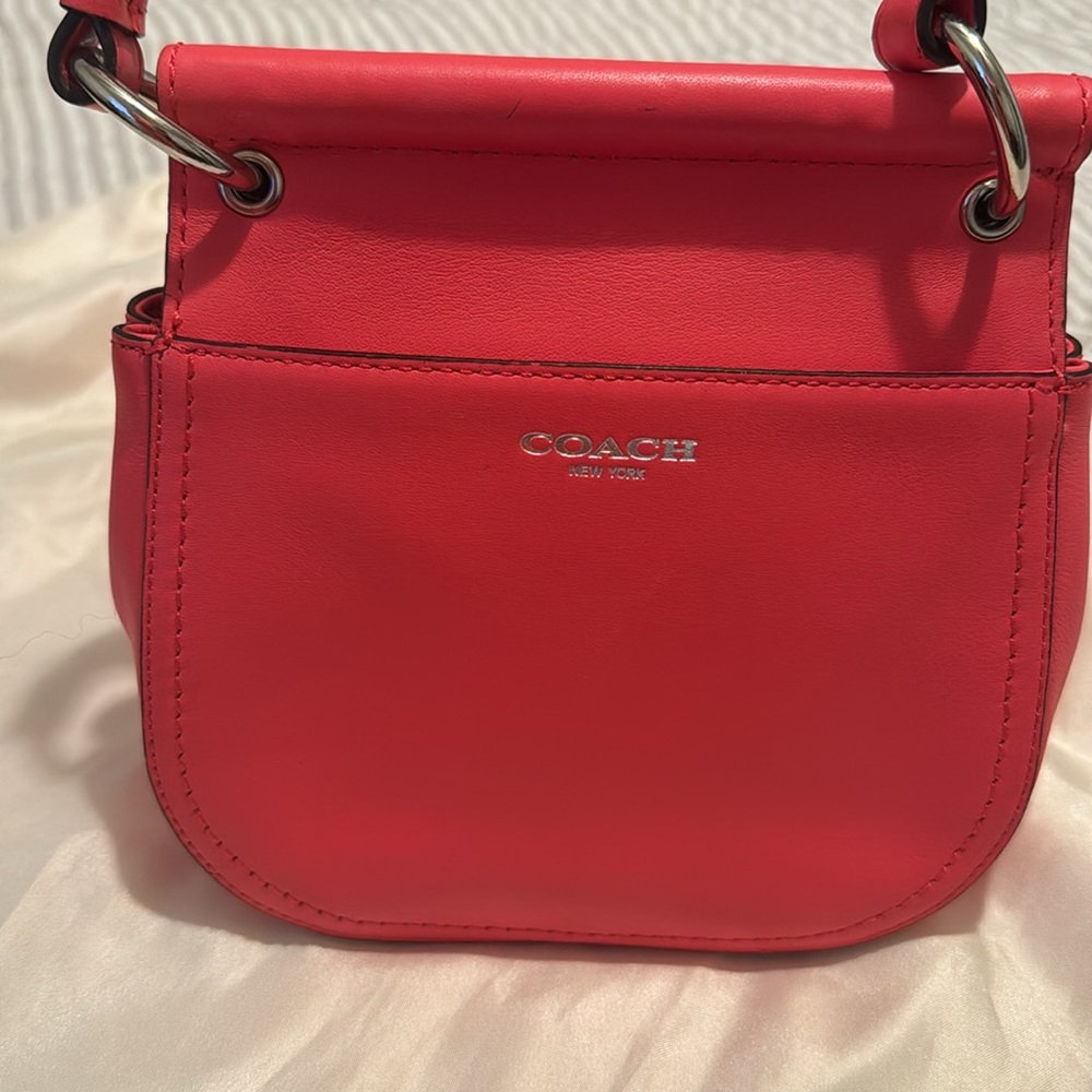 Coach Willis - image 6